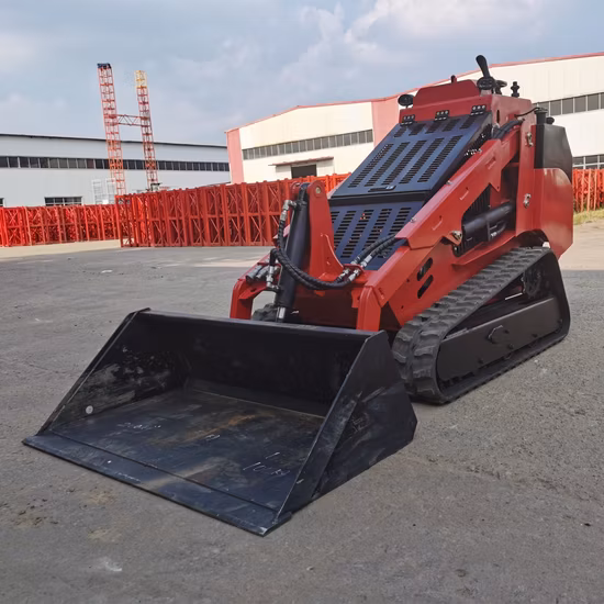 Luyue Nuova minipala compatta da 25 CV economica con motore diesel Kubota