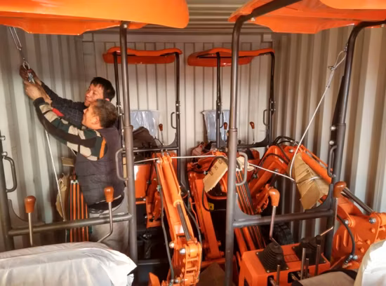 Piccoli escavatori Xiniu 800kg cingolati idraulici Mini escavatore Xn08 piccoli con CE